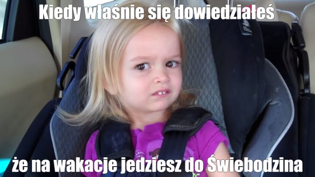 MEMY o Świebodzinie