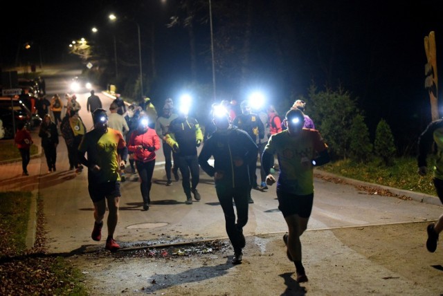 W 24 biegu po Zielonym Lesie w Żarach wzięło udział naprawdę sporo uczestników. Pomagali bezdomnym zwierzętom.