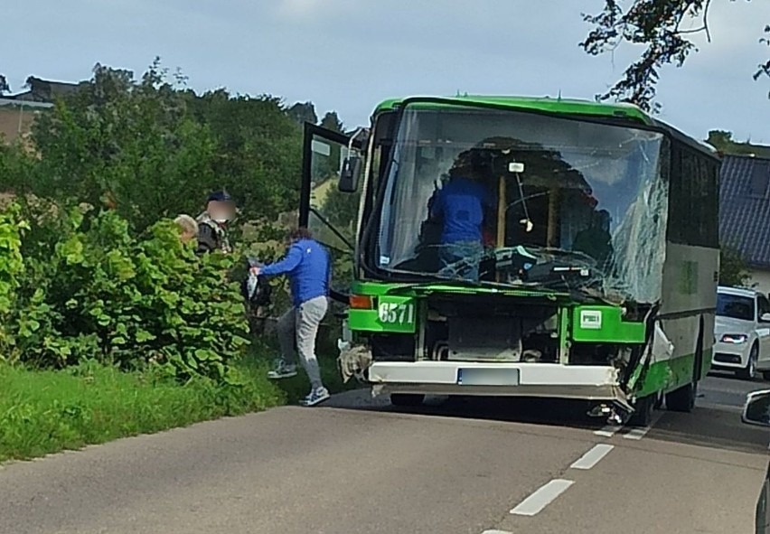 Wypadek autobusu PKS Gdynia na trasie Darzlubie - Leśniewo 10.09.2020. Pojazd wyleciał z drogi, w środku było 15 osób [zdjęcia]