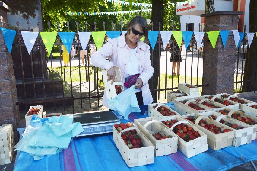 Piękne, czerwone i pachnące. Ile kosztują truskawki w Bełchatowie, 3.06.2021