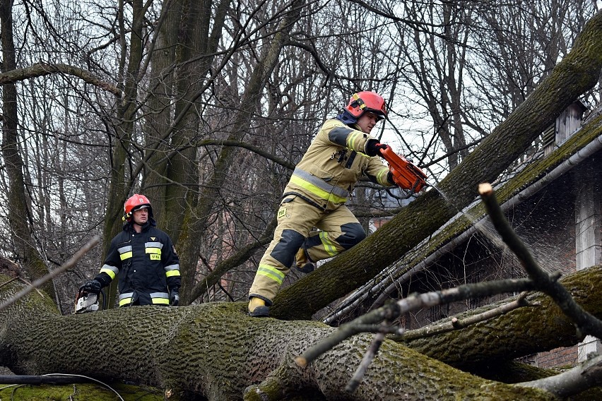 Zerwane częściowo dachy, powalone drzewa - silne podmuchy wiatru dają się strażakom coraz bardziej we znaki