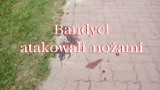 KRYMINALNY CZWARTEK. Bestialski napad w Gorzowie. Bandyci pocięli nożami trzech mężczyzn i zrabowali gotówkę