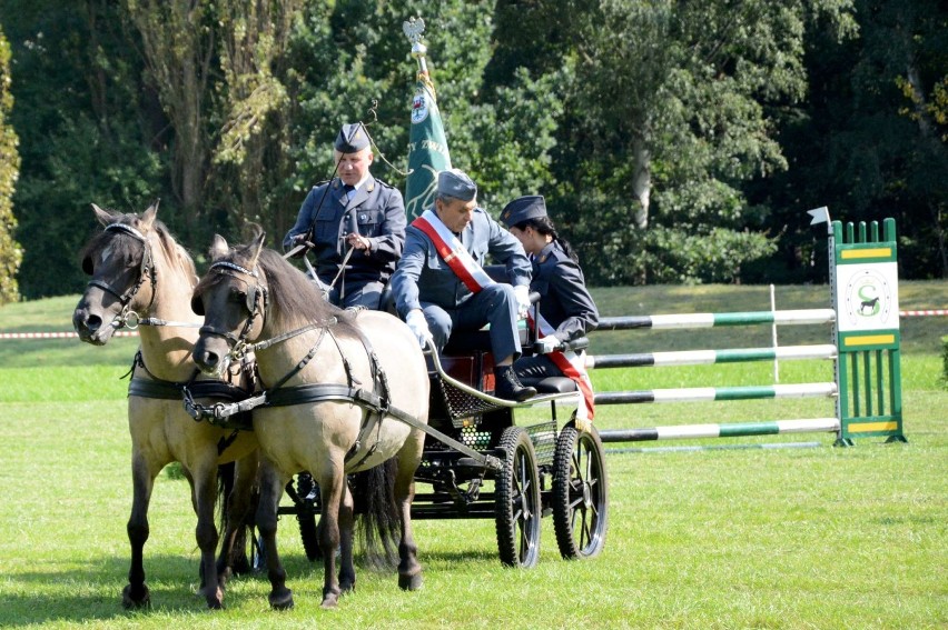 Koniki polskie w Sierakowie- Tarpaniada 2017