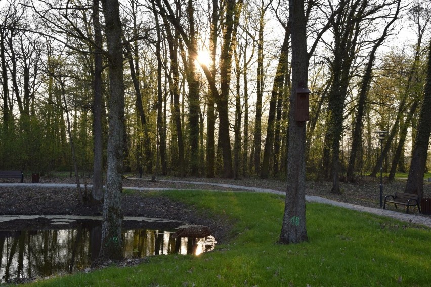 Położony jest niedaleko łącznika z drogą woj. Kożuchów -...