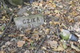 Cmentarz dla zwierząt pod Głogowem. Choć nielegalny, to wciąż popularny