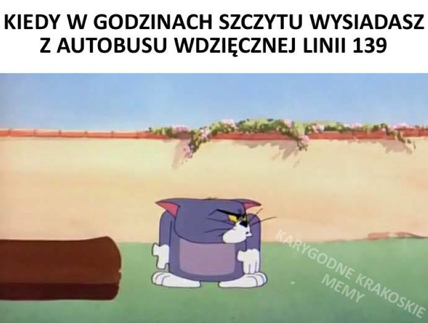 Cały Kraków stoi czyli memy o krakowskich korkach [MEMY]