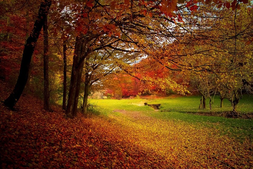 Jesień i jej cudowne kolory