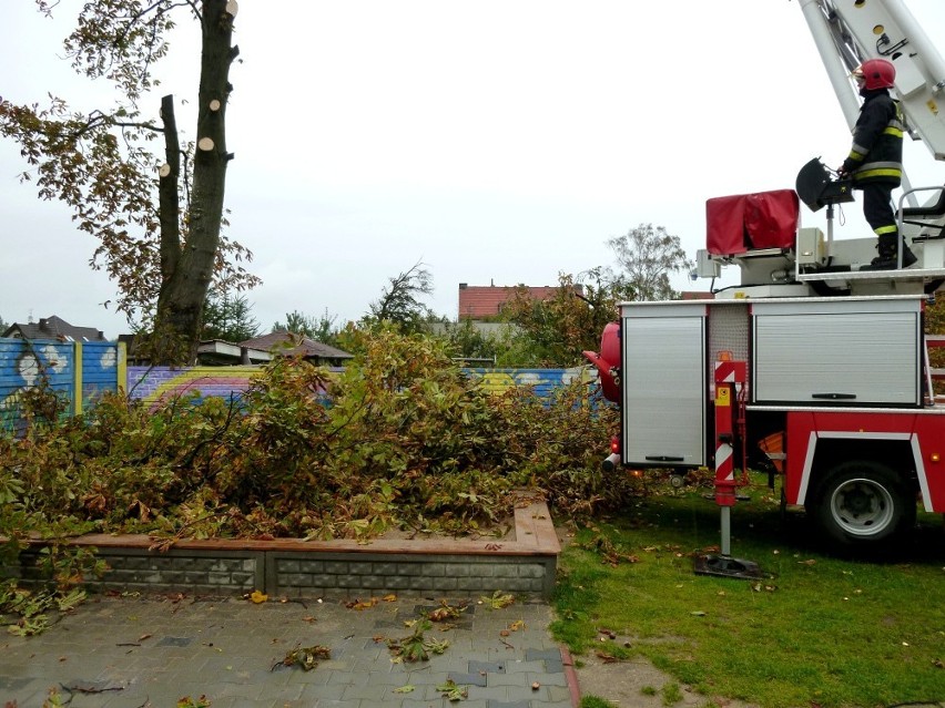Sławno. Wichura - strażacy ścięli drzewo zagrażające przedszkolu