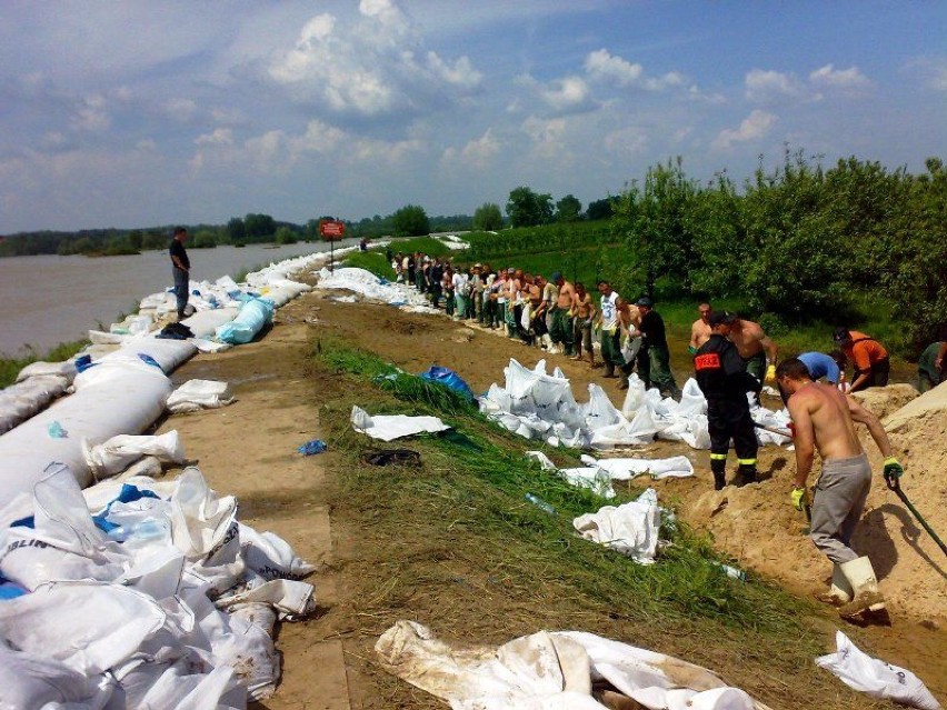 Zdjęcia wykonano na wałach przeciwpowodziowych w miejscowościach: Kępa Gostecka i Kępa Solecka.