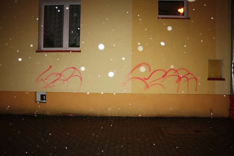 Graficiarze zatrzymani w Skarżysku-Kamiennej [ZDJĘCIA]
