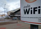Do ratusza wpłynęła petycja w sprawie zakazania Wi-Fi w szkołach. "Ma bardzo szkodliwy wpływ na zdrowie ludzi" 