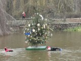 W Kaliszu wodniacy jak co roku ustawili świąteczne drzewko w nurcie rzeki
