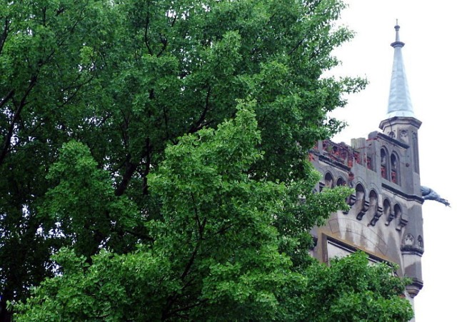 Szukając pałacu, wypatrzyliśmy wychylającą się zza drzew wieżę. Fot. Marek Bonarski