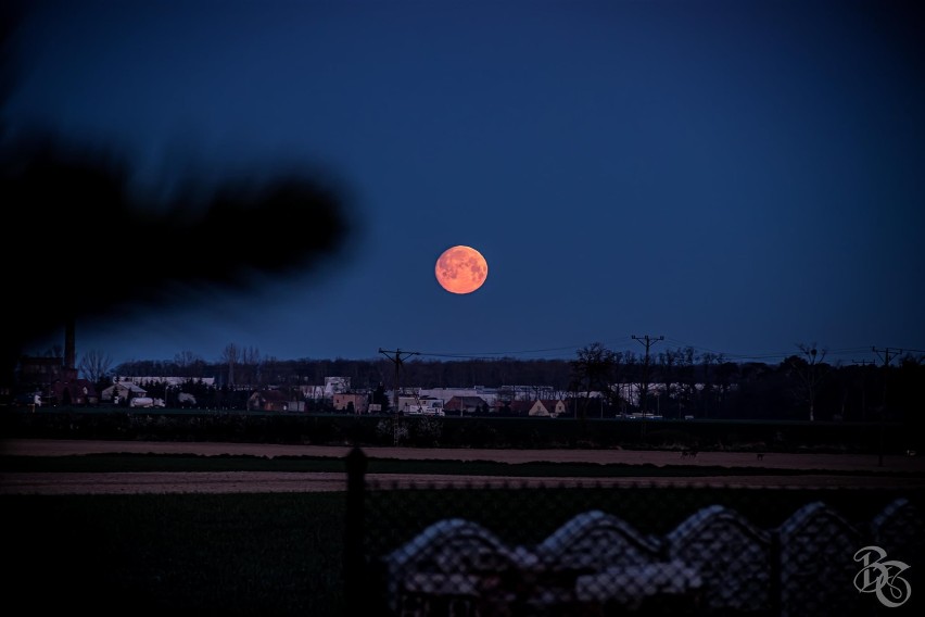 Pełnia Księżyca - kwiecień 2021. Niezwykła pełnia tzw. Różowy Księżyc nad Pleszewem