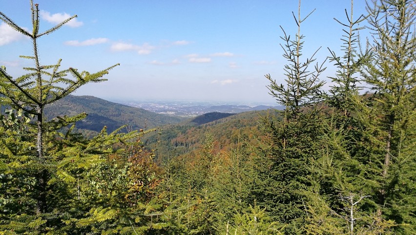 Beskid Mały w powiecie wadowickim to miejsce, gdzie można...