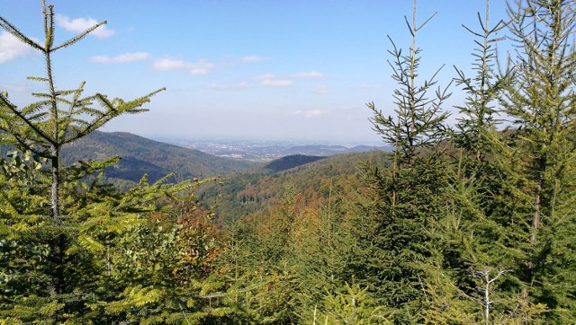 Beskid Mały w powiecie wadowickim to miejsce, gdzie można wybrać się na nieco bardziej wymagający spacer. Warto jednak, bo nagrodą są przepiękne widoki.