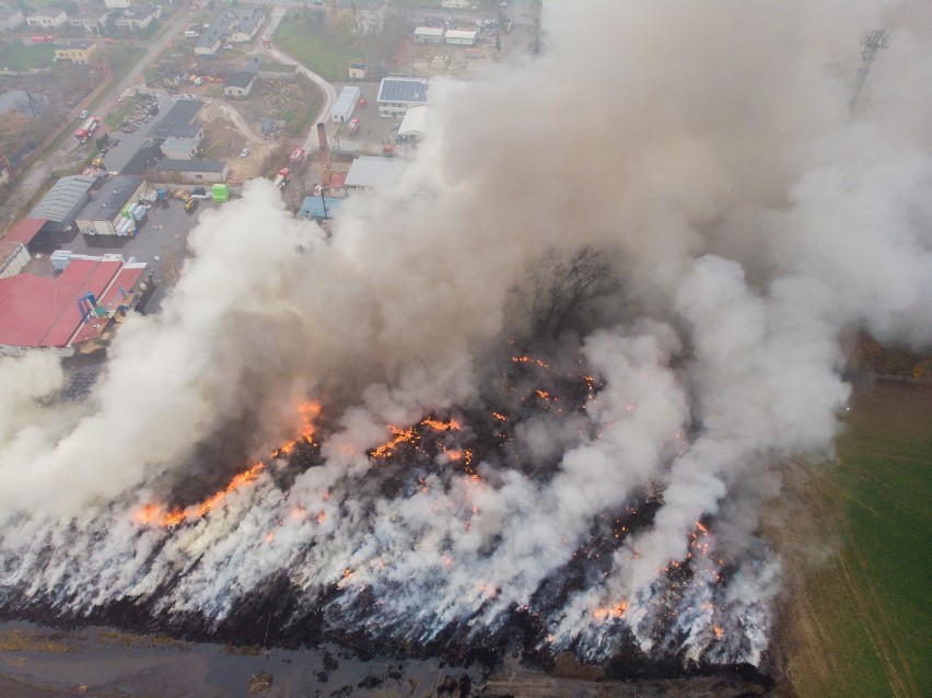 Pożar składowiska opon w Raciniewie z drona [zdjęcia]