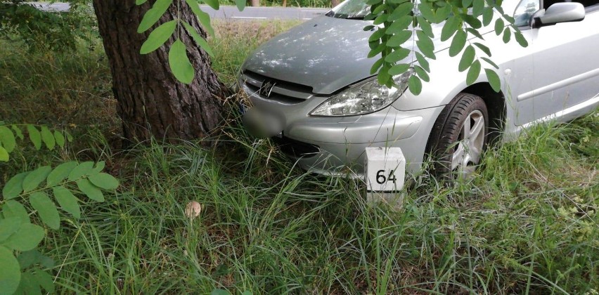 Leszno. Pijany rozbił auto i uciekał do lasu. Obywatelskie zatrzymanie przez wojskowego żandarma [ZDJĘCIA]