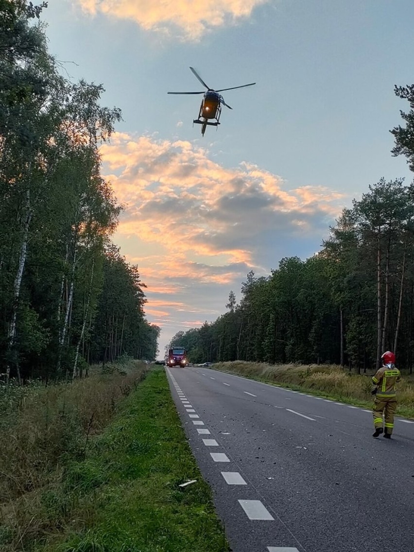 Czołowe zderzenie samochodów po uderzeniu w jelenia. Cztery osoby trafiły do szpitala ZDJĘCIA