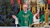 Arcybiskup przeprasza za skandal na parafii w Dąbrowie Górniczej. Mocne słowa padły podczas mszy
