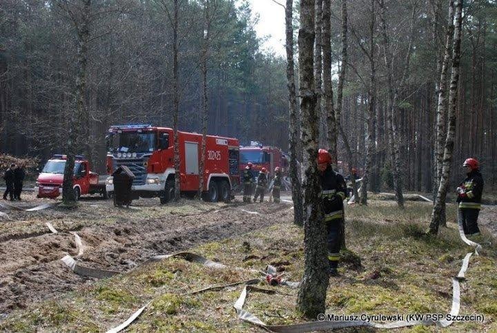 W pierwszym dniu konferencji wzięło udział blisko 170...