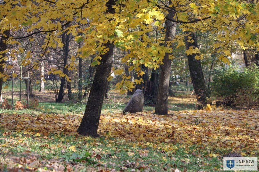 Polska złota jesień w Parku Zamkowym w Uniejowie. Idealny czas na spacery ZDJĘCIA