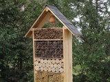 W Arboretum Leśnym w Stradomi powstał pierwszy domek dla owadów 