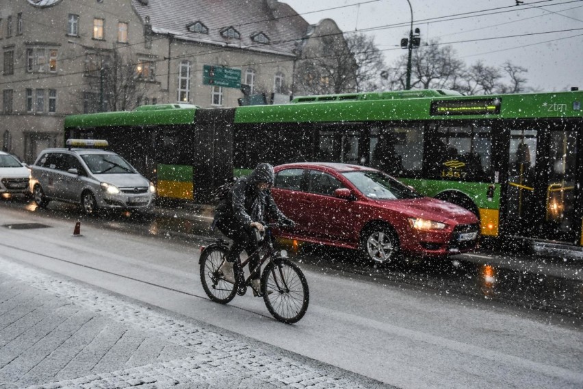 Poznań: Zima jeszcze powróci. I to już w ten weekend...