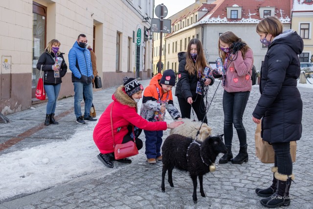 Kwesta WOŚP na ulicach Tarnowa - 31 stycznia 2021