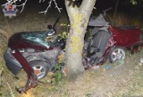 Leśniowice. Prokuratura umorzyła sprawę wypadku w Sielcu, w którym zginął 19-latek z Wojsławic