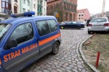 Tutaj będą kontrole straży miejskiej w Szczecinie [harmonogram]