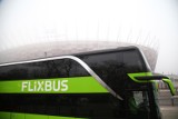 FlixBus Polska. Firma uruchamia 50 nowych połączeń 