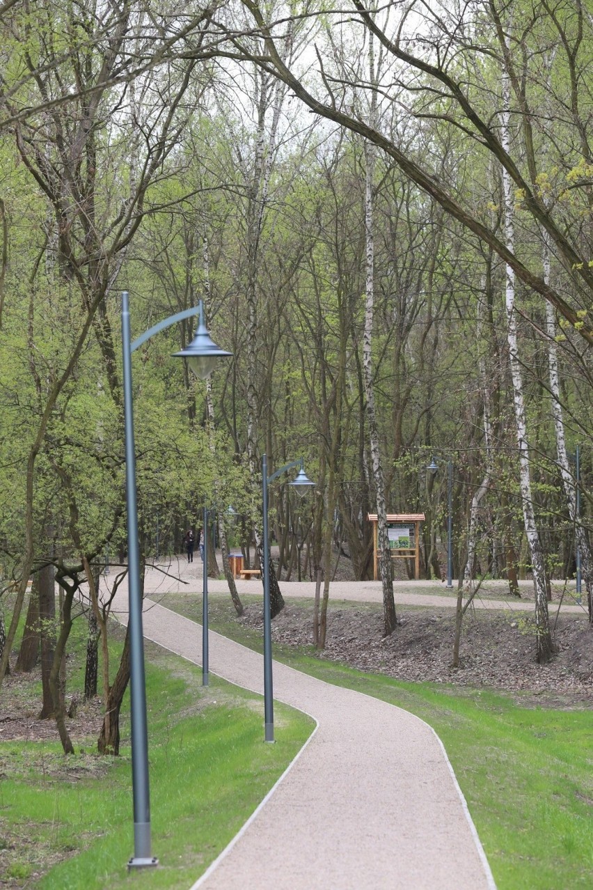 Tak wygląda rewitalizowany Park Tysiąclecia w Sosnowcu...