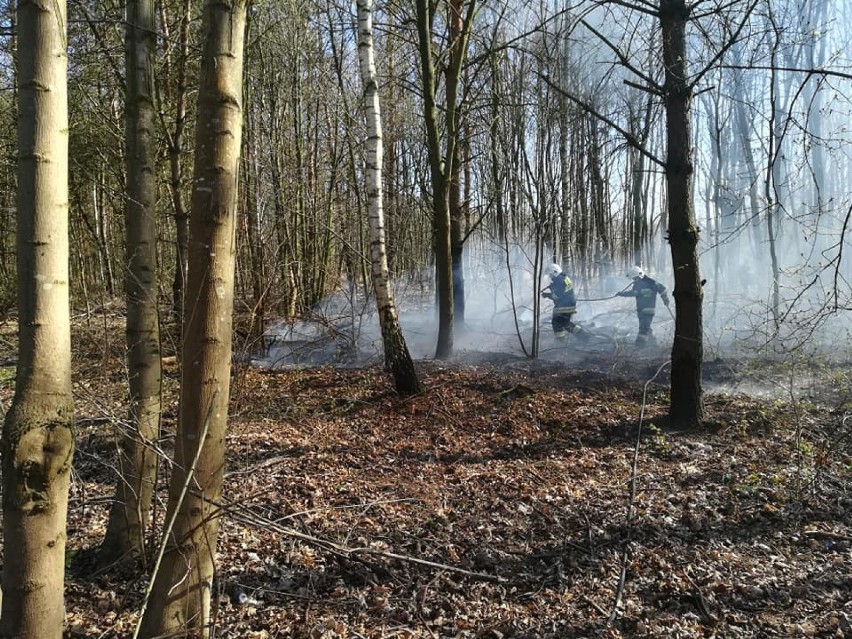 Znów płonęły trawy. Pogoda sprzyja takim pożarom