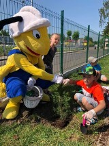 Świebodzin. Uczniowie "Jedynki" nasadzili rośliny przy swojej szkole. W nasadzeniach dzieciom pomagała Mrówka