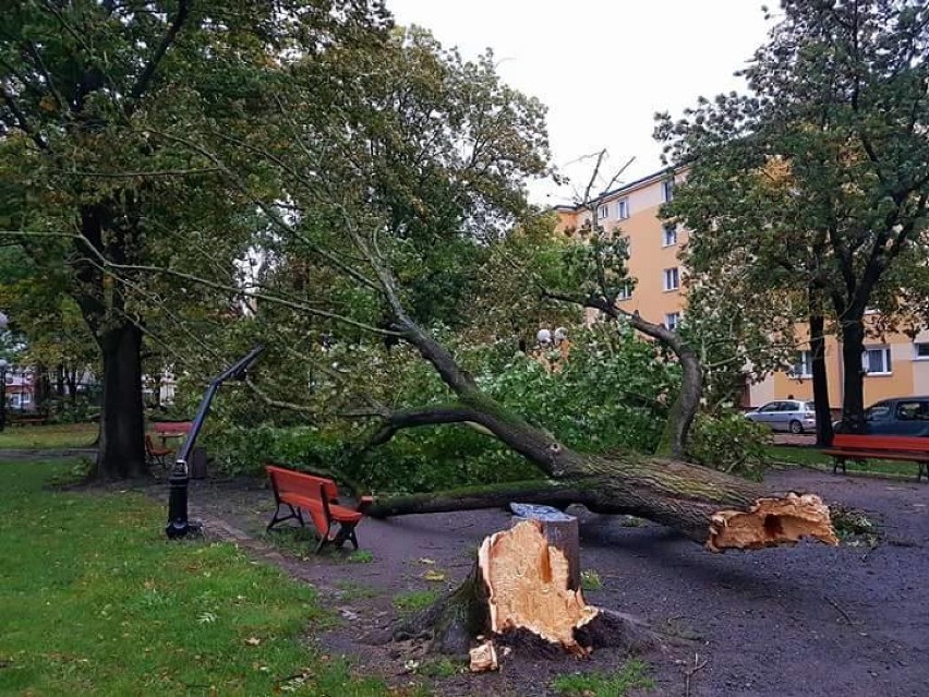 UWAGA! Po Ksawerym i Grzegorzu przyjdzie Marcin