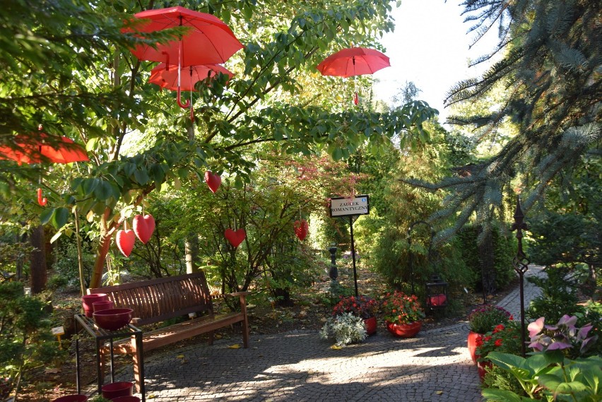 Ogrody Kapiasów: Kolory jesieni, dekoracje jesienne