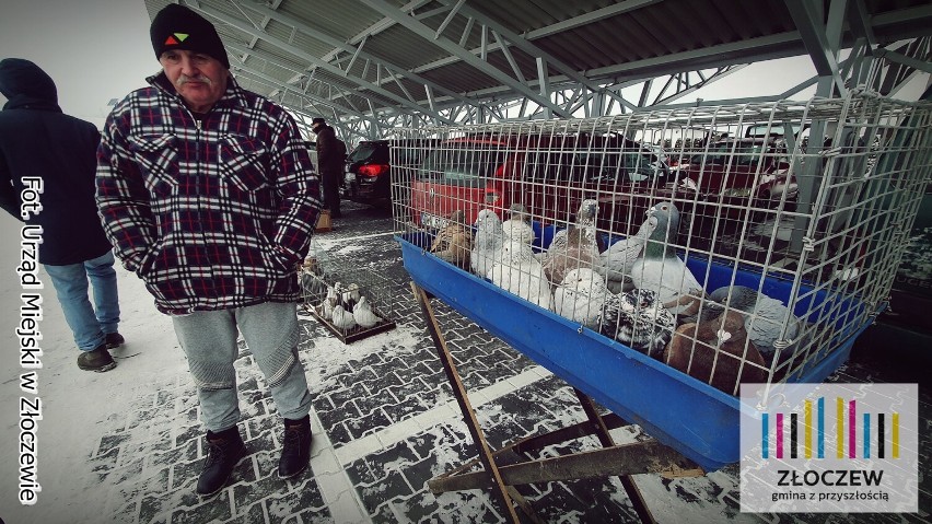 Po świątecznym jarmarku giełda egzotyki. Ruch na targowisku miejskim w Złoczewie FOTO