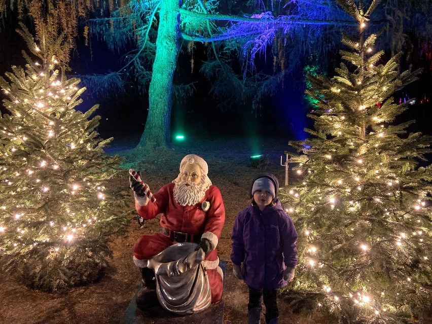 W Śląskim Ogrodzie Zoologicznym powstał Christmas Garden. Baśniowe iluminacje można oglądać do połowy stycznia