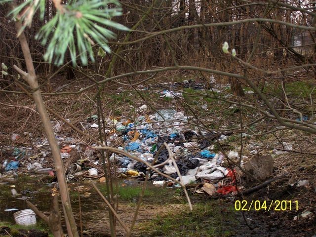 Katowice: Dzikie wysypiska śmieci w Panewnikach [ZDJĘCIA]