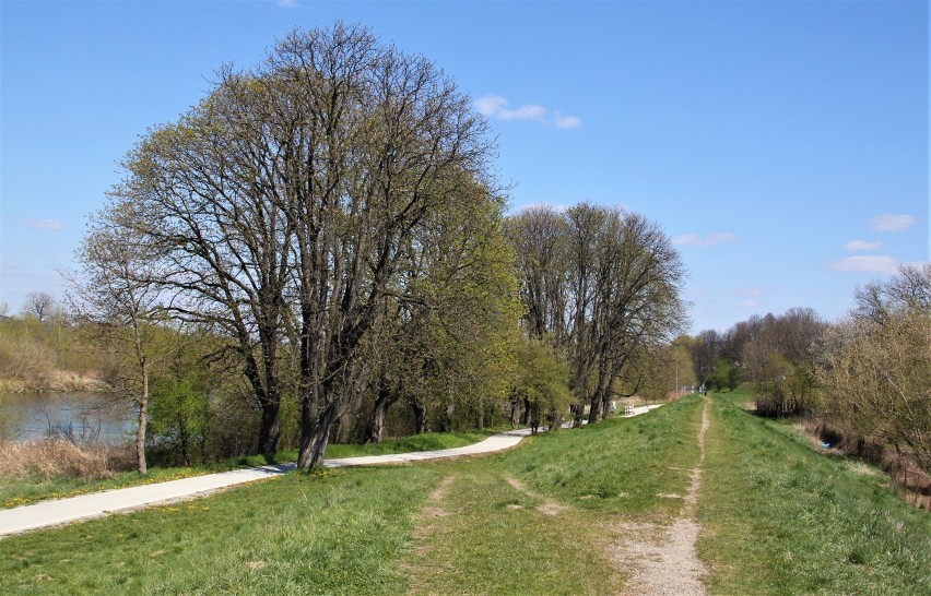 Jako, że Nowy Sącz leży w widłach dwóch rzek, sądeczanie...