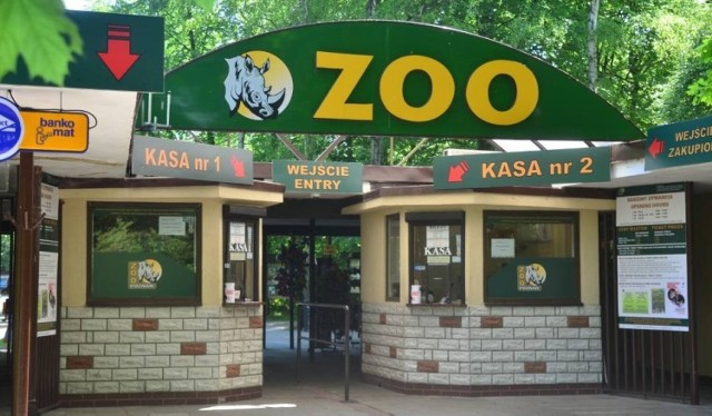 Prokuratura sprawdza, czy w poznańskim zoo doszło do nieprawidłowości