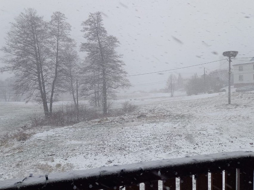 Wielka śnieżyca w Jastrzębiu-Zdroju - zobacz ZDJĘCIA mieszkańców. Na kilka minut... zniknął świat