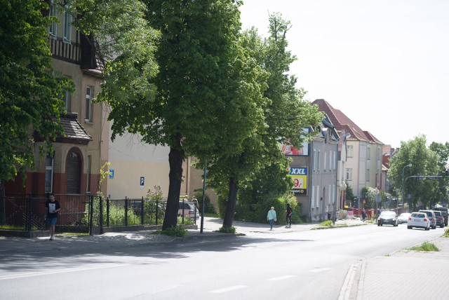 Remont ulicy Artylerzystów nie obejdzie się bez strat. Konieczna będzie wycinka drzew wzdłuż drogi.