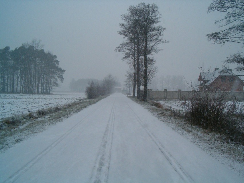 Czwartek Nowy Tomyśl: pada śnieg... FOTO