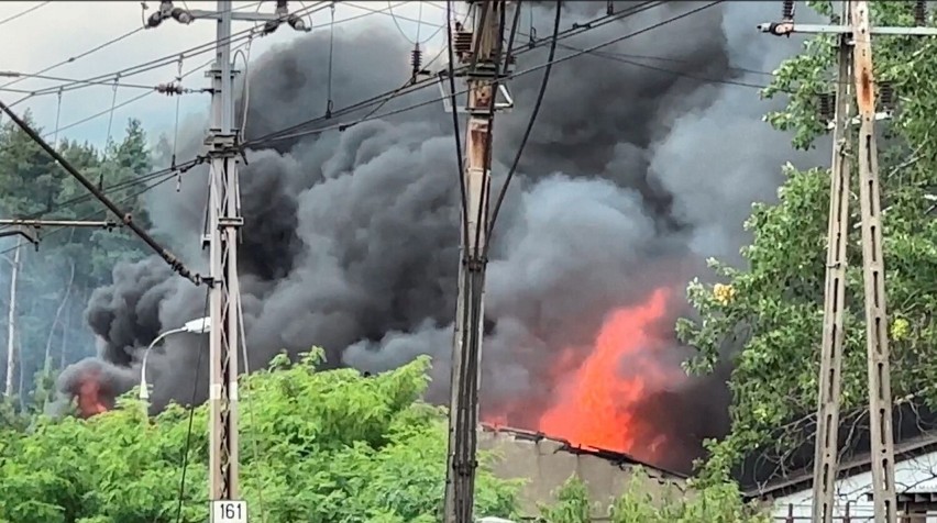 Do pożaru toksyn w zielonogórskim Przylepie doszło 22 lipca.