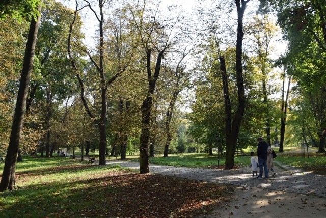 Tak wyglądają parki jasnogórskie jesienią. Prawda, że pięknie?

Zobacz kolejne zdjęcia. Przesuwaj zdjęcia w prawo - naciśnij strzałkę lub przycisk NASTĘPNE