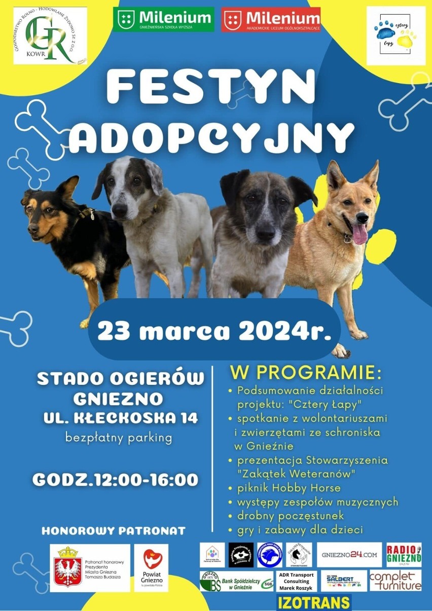Festyn adopcyjny odbędzie się w Stadzie Ogierów!
