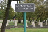 Nowy cmentarz w Tarnowie. Na żołnierskie mogiły powróciły nagrobki. W czasach PRL nekropolię zrównano z ziemią [ZDJĘCIA]