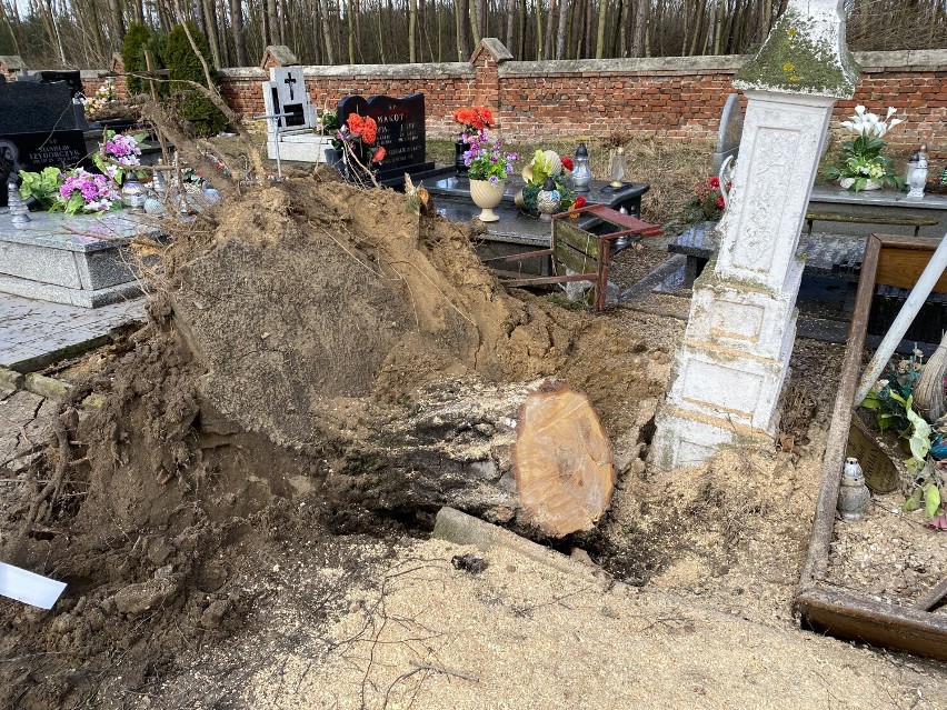 Uszkodzone nagrobki na cmentarzu w Chojnem